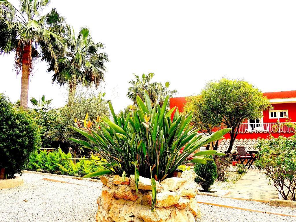 Hotell Palmer I Beachhouse Peguera