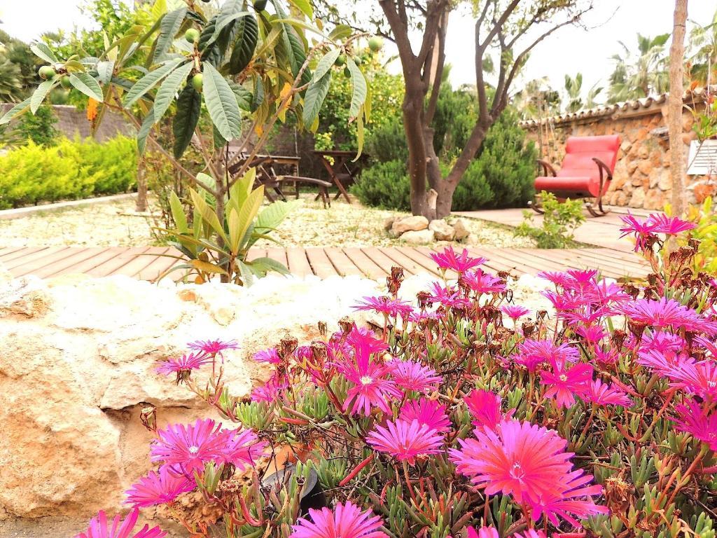 Palmer I Beachhouse Hotell Peguera